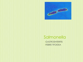 Salmonella
•GASTROENTERITIS
•FIEBRE

TIFOIDEA

 