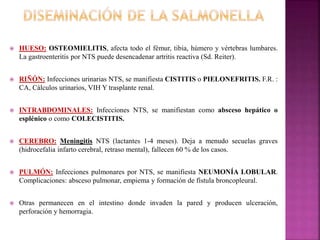  HUESO: OSTEOMIELITIS, afecta todo el fémur, tibia, húmero y vértebras lumbares. 
La gastroenteritis por NTS puede desencadenar artritis reactiva (Sd. Reiter). 
 RIÑÓN: Infecciones urinarias NTS, se manifiesta CISTITIS o PIELONEFRITIS. F.R. : 
CA, Cálculos urinarios, VIH Y trasplante renal. 
 INTRABDOMINALES: Infecciones NTS, se manifiestan como absceso hepático o 
esplénico o como COLECISTITIS. 
 CEREBRO: Meningitis NTS (lactantes 1-4 meses). Deja a menudo secuelas graves 
(hidrocefalia infarto cerebral, retraso mental), fallecen 60 % de los casos. 
 PULMÓN: Infecciones pulmonares por NTS, se manifiesta NEUMONÍA LOBULAR. 
Complicaciones: absceso pulmonar, empiema y formación de fístula broncopleural. 
 Otras permanecen en el intestino donde invaden la pared y producen ulceración, 
perforación y hemorragia. 
 