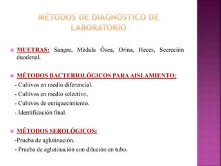  MUETRAS: Sangre, Médula Ósea, Orina, Heces, Secreción 
duodenal. 
 MÉTODOS BACTERIOLÓGICOS PARAAISLAMIENTO: 
- Cultivos en medio diferencial. 
- Cultivos en medio selectivo. 
- Cultivos de enriquecimiento. 
- Identificación final. 
 MÉTODOS SEROLÓGICOS: 
-Prueba de aglutinación. 
- Prueba de aglutinación con dilución en tubo. 
 
