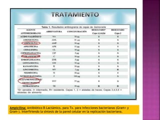Ampicilina: Antibiótico B–Lactámico, para Tx. para infecciones bacterianas (Gram+ y 
Gram-). Interfiriendo la síntesis de la pared celular en la replicación bacteriana. 
 