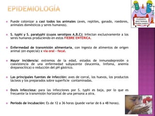  Puede colonizar a casi todos los animales (aves, reptiles, ganado, roedores, 
animales domésticos y seres humanos). 
 S. typhi y S. paratyphi (cuyos serotipos A,B,C): Infectan exclusivamente a los 
seres humanos produciendo en estos FIEBRE ENTÉRICA. 
 Enfermedad de transmisión alimentaria, con ingesta de alimentos de origen 
animal (en especial) x vía oral – fecal. 
 Mayor incidencia: extremos de la edad, estados de inmunodepresión o 
coexistencia de una enfermedad subyacente (leucemia, linfoma, anemia 
drepanocítica) o reducción del pH gástrico. 
 Las principales fuentes de infección: aves de corral, los huevos, los productos 
lácteos y los preparados sobre superficie contaminadas. 
 Dosis infecciosa: para las infecciones por S. typhi es baja, por lo que es 
frecuente la transmisión horizontal de una persona a otra. 
 Periodo de incubación: Es de 12 a 36 horas (puede variar de 6 a 48 horas). 
 