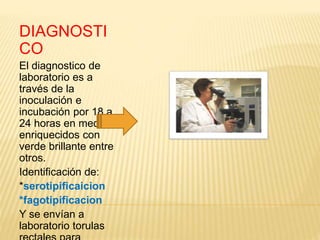 DIAGNOSTI
CO
El diagnostico de
laboratorio es a
través de la
inoculación e
incubación por 18 a
24 horas en medios
enriquecidos con
verde brillante entre
otros.
Identificación de:
*serotipificaicion
*fagotipificacion
Y se envían a
laboratorio torulas
 