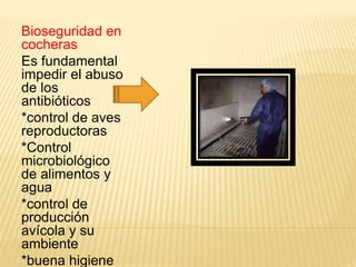 Bioseguridad en
cocheras
Es fundamental
impedir el abuso
de los
antibióticos
*control de aves
reproductoras
*Control
microbiológico
de alimentos y
agua
*control de
producción
avícola y su
ambiente
*buena higiene
 