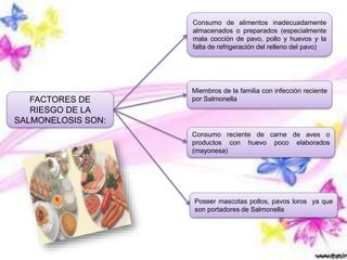 FACTORES DE
RIESGO DE LA
SALMONELOSIS SON:
Consumo de alimentos inadecuadamente
almacenados o preparados (especialmente
mala cocción de pavo, pollo y huevos y la
falta de refrigeración del relleno del pavo)
Miembros de la familia con infección reciente
por Salmonella
Consumo reciente de carne de aves o
productos con huevo poco elaborados
(mayonesa)
Poseer mascotas pollos, pavos loros ya que
son portadores de Salmonella
 