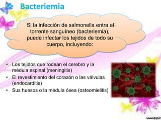  Bacteriemia
• Los tejidos que rodean el cerebro y la
médula espinal (meningitis)
• El revestimiento del corazón o las válvulas
(endocarditis)
• Sus huesos o la médula ósea (osteomielitis)
Si la infección de salmonella entra al
torrente sanguíneo (bacteriemia),
puede infectar los tejidos de todo su
cuerpo, incluyendo:
 