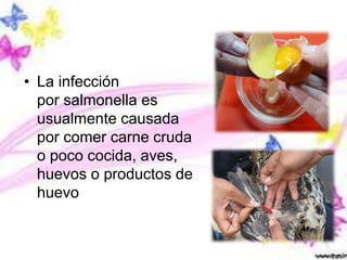 • La infección
por salmonella es
usualmente causada
por comer carne cruda
o poco cocida, aves,
huevos o productos de
huevo
 