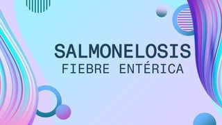 SALMONELOSIS
FIEBRE ENTÉRICA
 