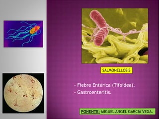SALMONELLOSIS 
- Fiebre Entérica (Tifoidea). 
- Gastroenteritis. 
PONENTE: MIGUEL ANGEL GARCIA VEGA. 
 