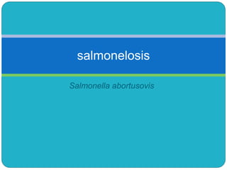 Salmonella abortusovis
salmonelosis
 