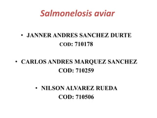 Salmonelosis aviar
• JANNER ANDRES SANCHEZ DURTE
COD: 710178
• CARLOS ANDRES MARQUEZ SANCHEZ
COD: 710259
• NILSON ALVAREZ RUEDA
COD: 710506
 