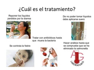 ¿Cuál es el tratamiento? Reponer los líquidos perdidos por la diarrea De no poder tomar líquidos debe aplicarse suero Se controla la fiebre Hacer análisis hasta que se compruebe que se ha  eliminado la salmonella Tratar con antibióticos hasta  que  muera la bacteria 
