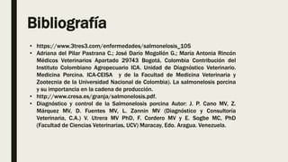 Bibliografía
• https://www.3tres3.com/enfermedades/salmonelosis_105
• Adriana del Pilar Pastrana C.; José Darío Mogollón G.; María Antonia Rincón
Médicos Veterinarios Apartado 29743 Bogotá, Colombia Contribución del
Instituto Colombiano Agropecuario ICA. Unidad de Diagnóstico Veterinario.
Medicina Porcina. ICA-CEISA y de la Facultad de Medicina Veterinaria y
Zootecnia de la Universidad Nacional de Colombia). La salmonelosis porcina
y su importancia en la cadena de producción.
• http://www.cresa.es/granja/salmonelosis.pdf.
• Diagnóstico y control de la Salmonelosis porcina Autor: J. P. Cano MV, Z.
Márquez MV, D. Fuentes MV, L. Zannin MV (Diagnóstico y Consultoría
Veterinaria, C.A.) V. Utrera MV PhD, F. Cordero MV y E. Sogbe MC, PhD
(Facultad de Ciencias Veterinarias, UCV) Maracay, Edo. Aragua. Venezuela.
 