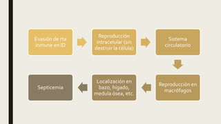 Evasión de rta
inmune en ID
Reproducción
intracelular (sin
destruir la célula)
Sistema
circulatorio
Reproducción en
macrófagos
Localización en
bazo, hígado,
medula ósea, etc.
Septicemia
 