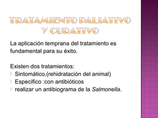 La aplicación temprana del tratamiento es
fundamental para su éxito.

Existen dos tratamientos:
 Sintomático,(rehidratación del animal)
 Específico :con antibióticos
 realizar un antibiograma de la Salmonella.
 