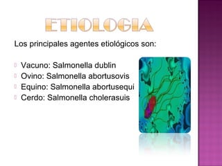Los principales agentes etiológicos son:

   Vacuno: Salmonella dublin
   Ovino: Salmonella abortusovis
   Equino: Salmonella abortusequi
   Cerdo: Salmonella cholerasuis
 