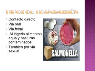    Contacto directo
   Via oral
   Via fecal
    Al ingeris alimentos,
    agua y pasturas
    contaminados
   También por via
    sexual
 