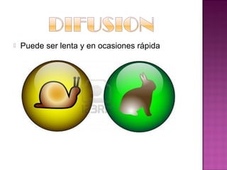    Puede ser lenta y en ocasiones rápida
 