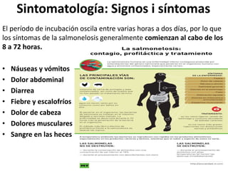 Sintomatología: Signos i síntomas
El período de incubación oscila entre varias horas a dos días, por lo que
los síntomas de la salmonelosis generalmente comienzan al cabo de los
8 a 72 horas.
• Náuseas y vómitos
• Dolor abdominal
• Diarrea
• Fiebre y escalofríos
• Dolor de cabeza
• Dolores musculares
• Sangre en las heces
 