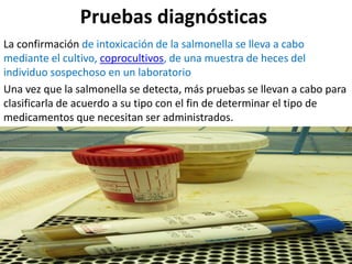 Pruebas diagnósticas
La confirmación de intoxicación de la salmonella se lleva a cabo
mediante el cultivo, coprocultivos, de una muestra de heces del
individuo sospechoso en un laboratorio
Una vez que la salmonella se detecta, más pruebas se llevan a cabo para
clasificarla de acuerdo a su tipo con el fin de determinar el tipo de
medicamentos que necesitan ser administrados.
 