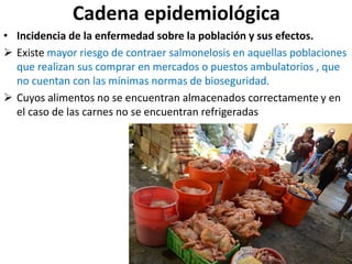Cadena epidemiológica
• Incidencia de la enfermedad sobre la población y sus efectos.
 Existe mayor riesgo de contraer salmonelosis en aquellas poblaciones
que realizan sus comprar en mercados o puestos ambulatorios , que
no cuentan con las mínimas normas de bioseguridad.
 Cuyos alimentos no se encuentran almacenados correctamente y en
el caso de las carnes no se encuentran refrigeradas
 