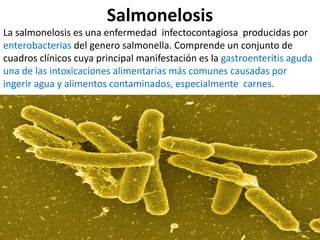 Salmonelosis
La salmonelosis es una enfermedad infectocontagiosa producidas por
enterobacterias del genero salmonella. Comprende un conjunto de
cuadros clínicos cuya principal manifestación es la gastroenteritis aguda
una de las intoxicaciones alimentarias más comunes causadas por
ingerir agua y alimentos contaminados, especialmente carnes.
 