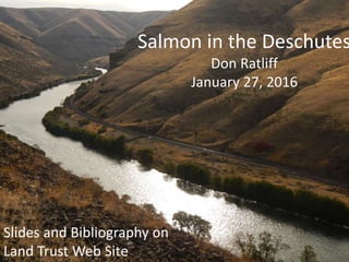 Salmon in the Deschutes by Don Ratliff