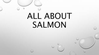 ALL ABOUT
SALMON
 