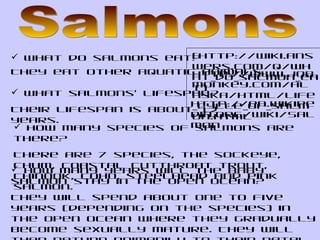 Salmons ,[object Object],They eat other aquatic animals.  ( http://wiki.answers.com/Q/What_do_salmon_eat ) ,[object Object],[object Object],http://www.jobmonkey.com/alaska/html/life_cycle_of_salmon.html ,[object Object],[object Object],http://en.wikipedia.org/wiki/Salmon ,[object Object],[object Object]