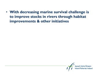 • With decreasing marine survival challenge is
  to improve stocks in rivers through habitat
  improvements & other initiatives
 