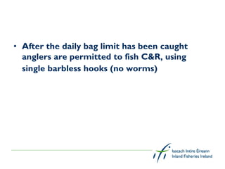 • After the daily bag limit has been caught
  anglers are permitted to fish C&R, using
  single barbless hooks (no worms)
 