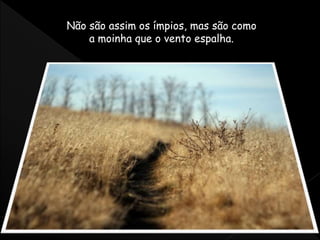 Não são assim os ímpios, mas são como
a moinha que o vento espalha.
 