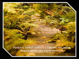Porque o Senhor conhece o caminho dos justos,
Mas o caminho dos ímpios perecerá.
 