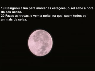 19 Designou a lua para marcar as estações; o sol sabe a hora
do seu ocaso.
20 Fazes as trevas, e vem a noite, na qual saem todos os
animais da selva.
 