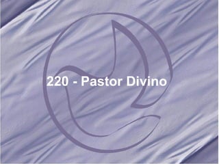 220 - Pastor Divino