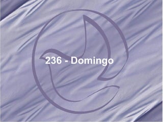 236 - Domingo   
