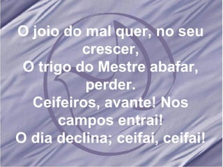 O joio do mal quer, no seu crescer, O trigo do Mestre abafar, perder. Ceifeiros, avante! Nos campos entrai! O dia declina; ceifai, ceifai!