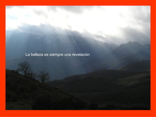 La belleza es siempre una revelación