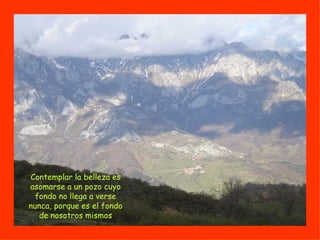 Contemplar la belleza es asomarse a un pozo cuyo fondo no llega a verse nunca, porque es el fondo de nosotros mismos