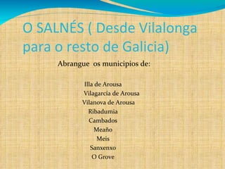 O SALNÉS ( Desde Vilalonga para o resto de Galicia) Abrangue  os municipios de: Illa de Arousa Vilagarcía de Arousa Vilanova de Arousa  Ribadumia Cambados Meaño Meis Sanxenxo O Grove 