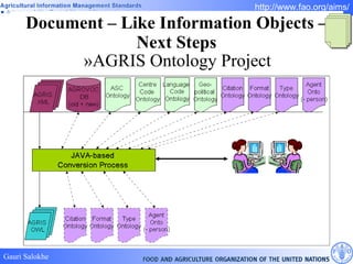 Document – Like Information Objects – Next Steps AGRIS Ontology Project 