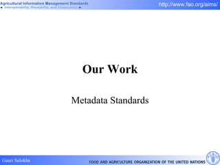 Our Work Metadata Standards 