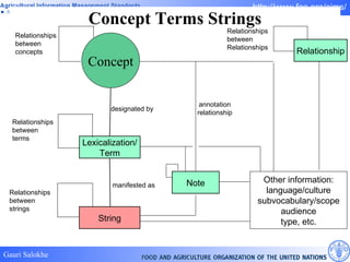 Concept Terms Strings Concept Relationships between concepts Lexicalization/ Term String Relationships between strings Relationships between terms designated by manifested as Other information: language/culture subvocabulary/scope audience type, etc. annotation relationship Relationship Relationships between Relationships Note 