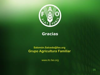 16
Gracias
www.rlc.fao.org
Salomón.Salcedo@fao.org
Grupo Agricultura Familiar
 