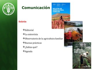 Comunicación
Boletín
Editorial
La entrevista
Observatorio de la agricultura familiar
Buenas prácticas
¿Sabías qué?
Agenda
 