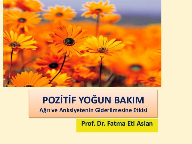 Salon 1 14 kasim 09.30 10.30 fatma eti̇ aslan