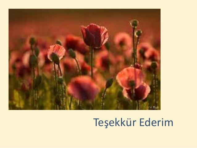Salon 1 14 kasim 09.30 10.30 fatma eti̇ aslan