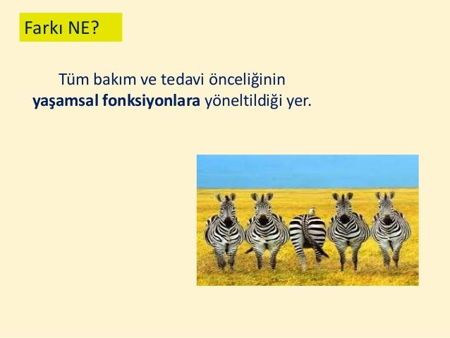 Salon 1 14 kasim 09.30 10.30 fatma eti̇ aslan