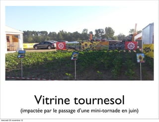 Vitrine tournesol

(impactée par le passage d’une mini-tornade en juin)
mercredi 20 novembre 13

 