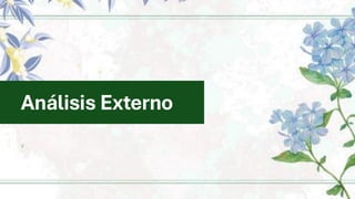 Análisis Externo
 