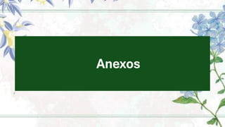 Anexos
 
